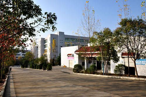四川省德昌县职业高级职业普通高中是民办高校或是公办学校