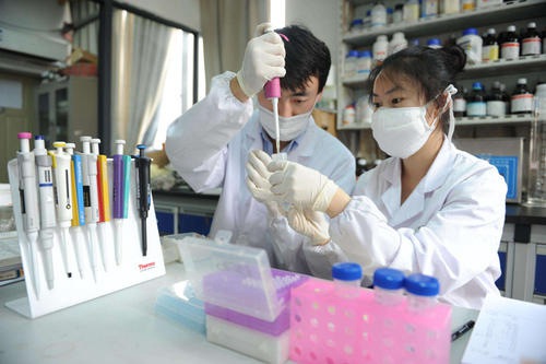 河南省中国医药大学2020报考时间及报名流程