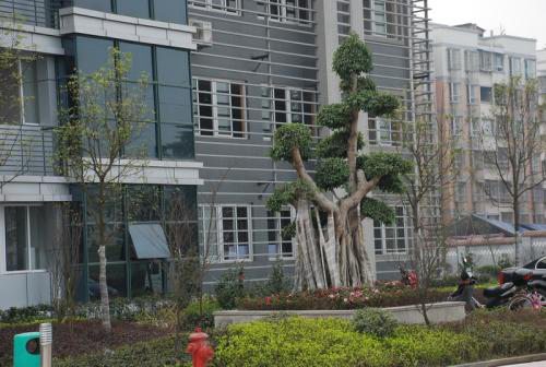 武汉东湖光学院校2021年招生章程
