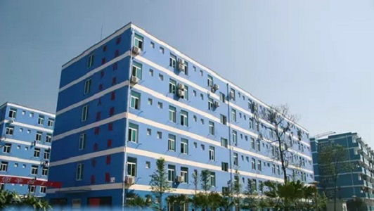 2020年，广东有汽修学校的公立大学